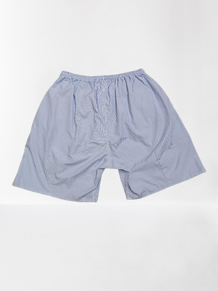 Blue Check Shorts